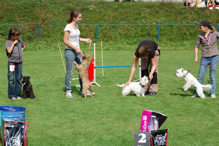 DSC_0078.JPG