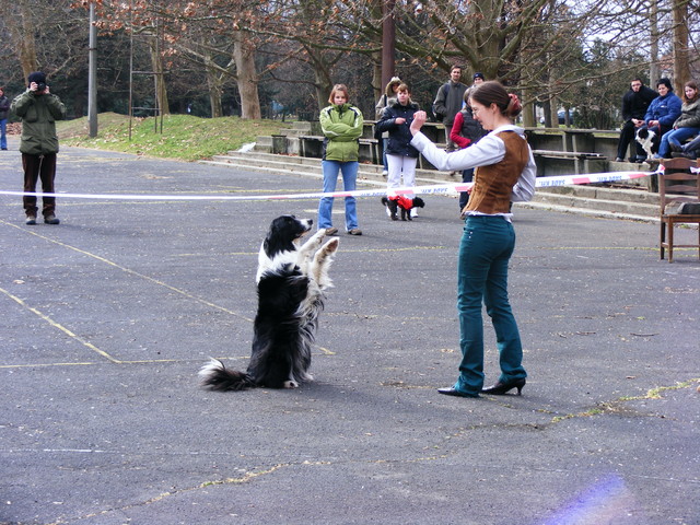 dog_dancing_060.jpg