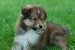 DSC_0142.jpg
